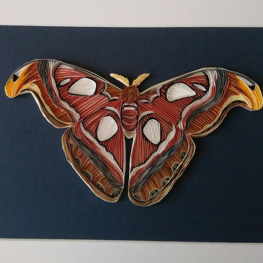 On Edge Paper Quilling Artist