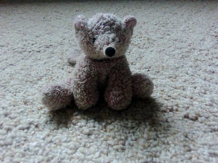 Meet Foxy, Found Lying On The Side Of The Road When My Dad Ran Out Of Gas On The Way To Work