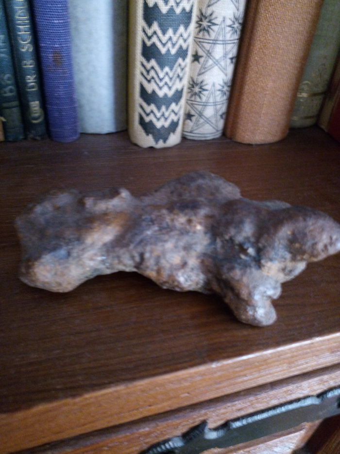 This Big Fossilized Turd. I Found It Myself, But It Took My Years To Realize It Was A Coprolite.