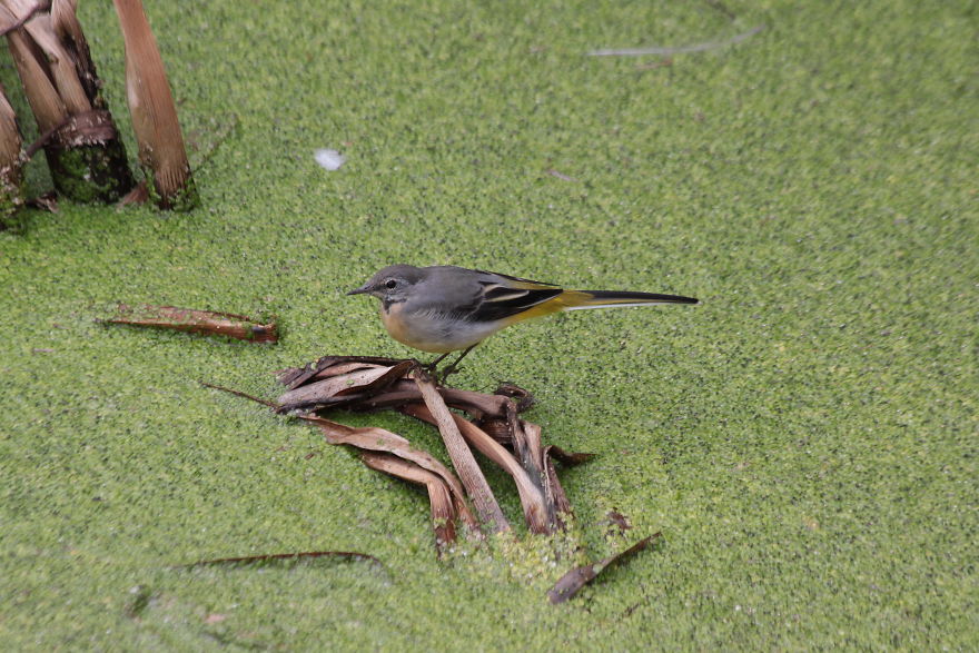 Images Of Dorset Images Of Dorset