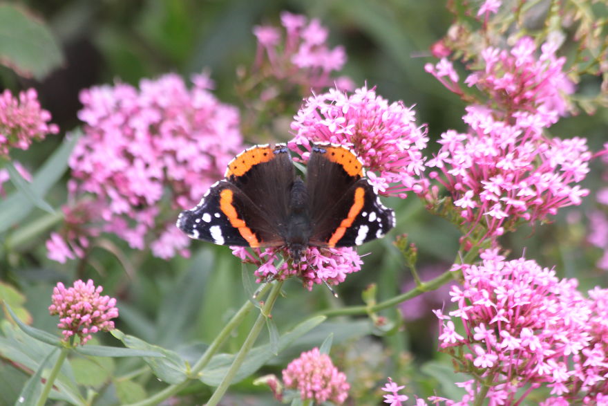 Images Of Dorset Images Of Dorset