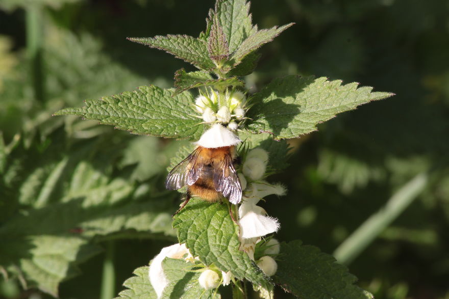 Images Of Dorset Images Of Dorset