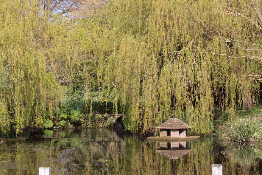 Images Of Dorset Images Of Dorset