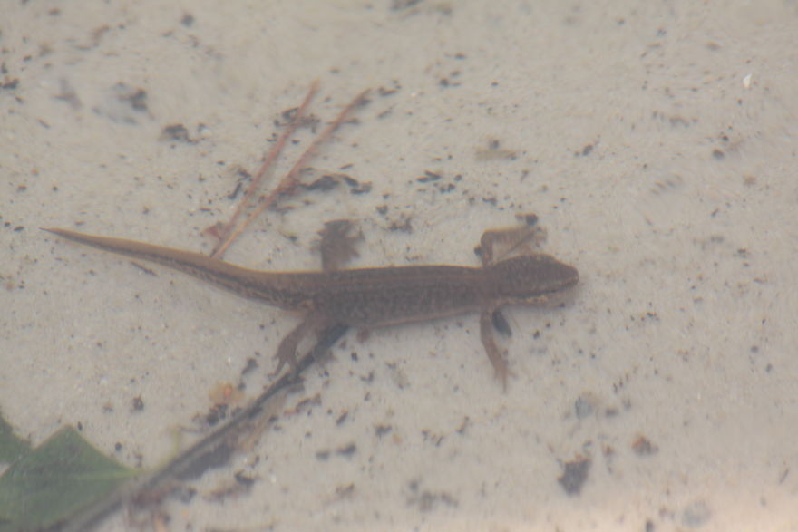 Images Of Dorset Images Of Dorset