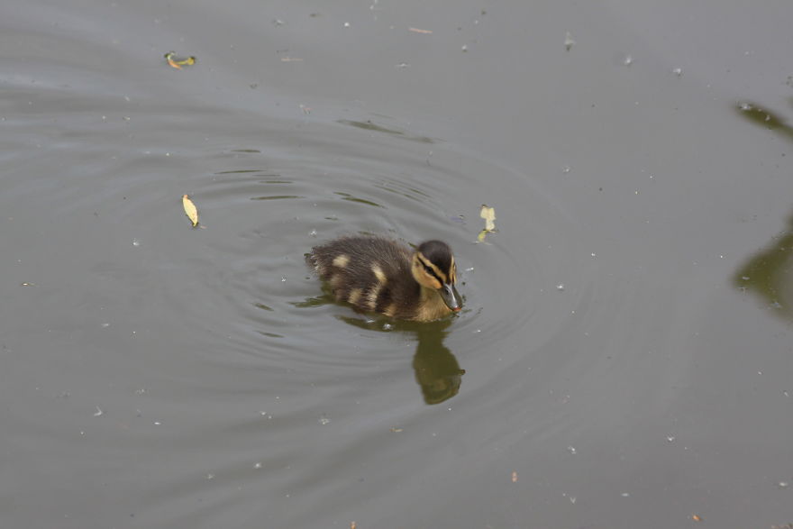 Images Of Dorset Images Of Dorset