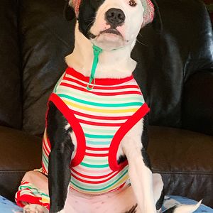 bethannlubert avatar