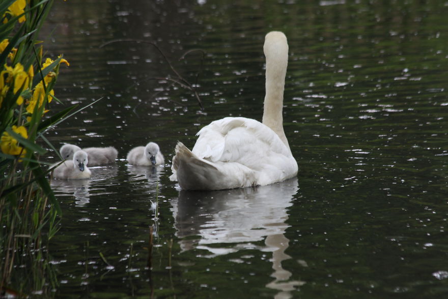 Images Of Dorset Images Of Dorset