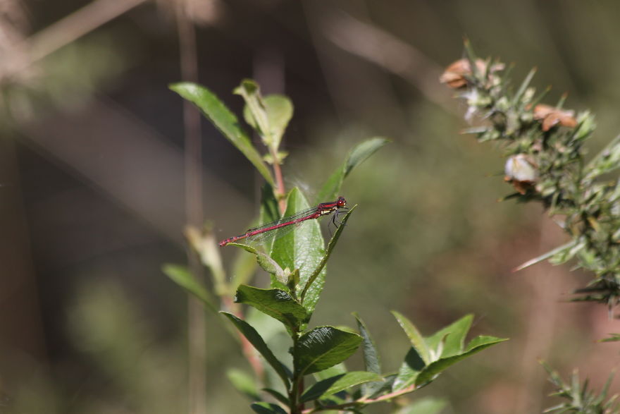 Images Of Dorset Images Of Dorset