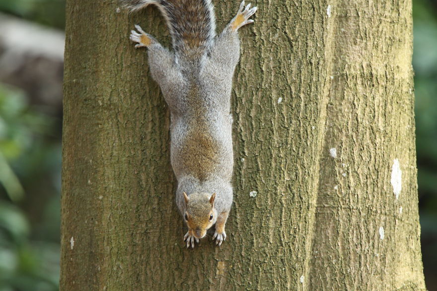 Images Of Dorset Images Of Dorset