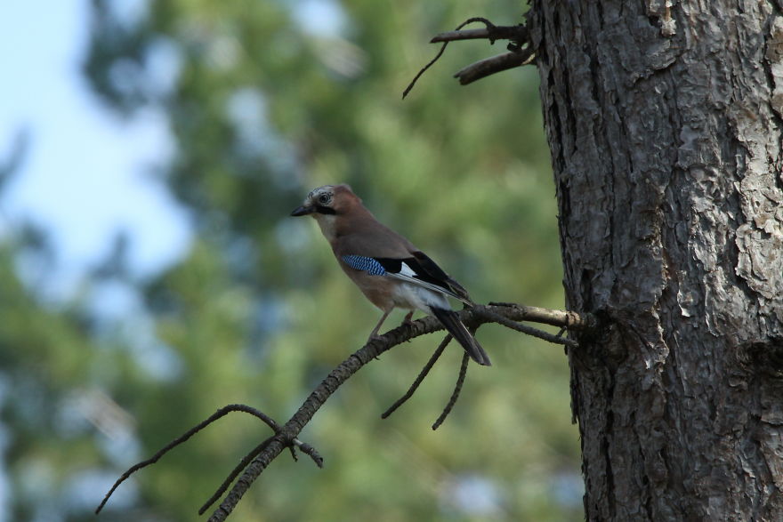 Images Of Dorset Images Of Dorset