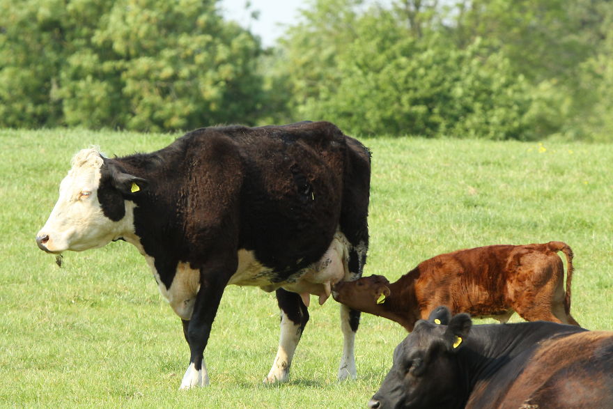 Images Of Dorset Images Of Dorset