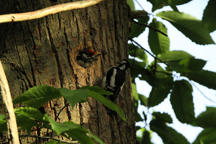 Even Better Than Deliveroo.