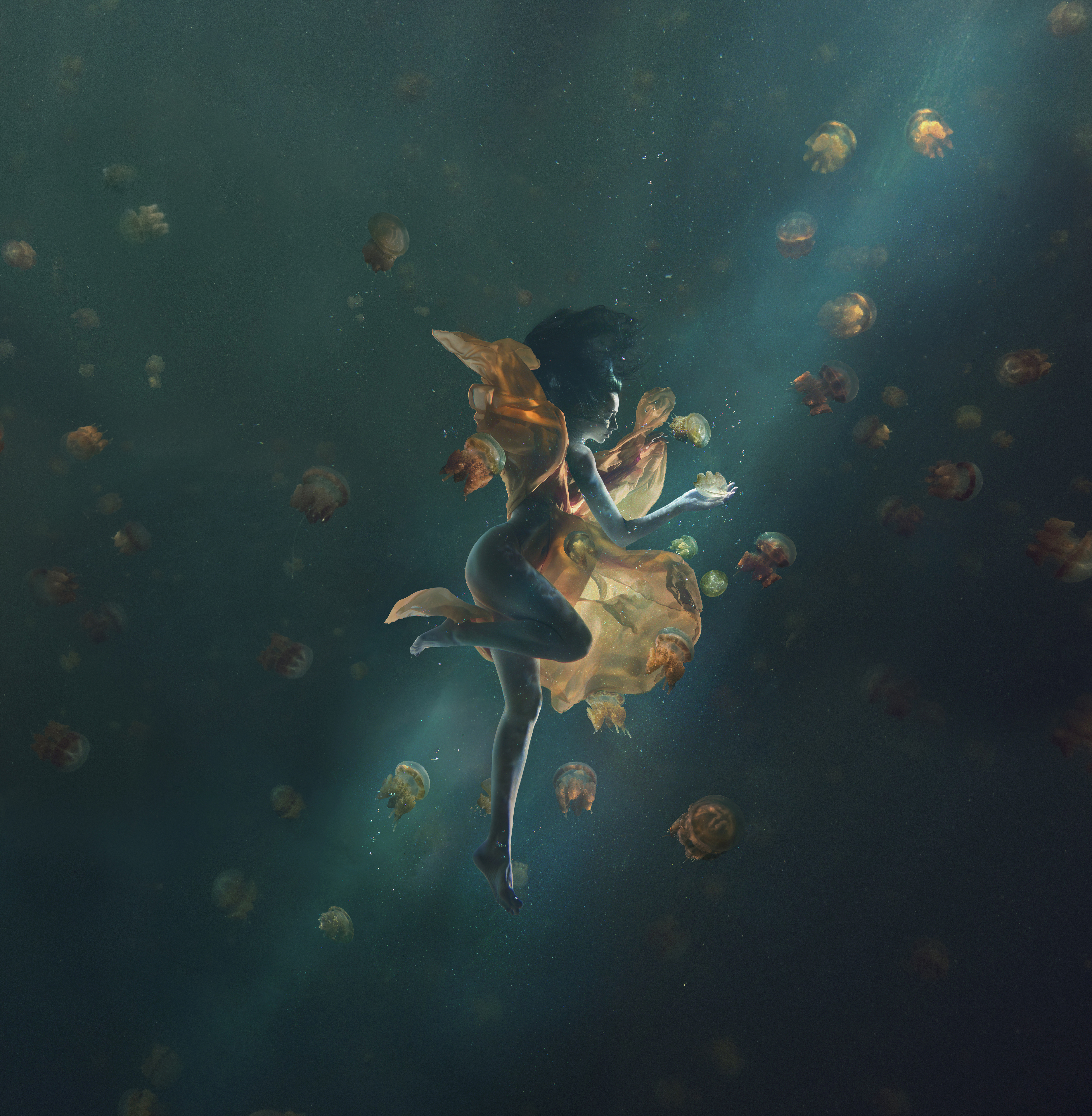 Swimming With Jellyfish In Indonesia’s Rare Marine Lakes