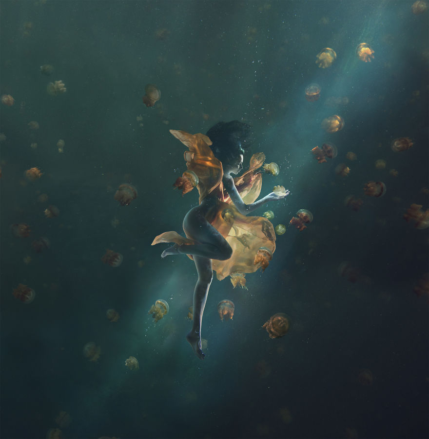 Swimming With Jellyfish In Indonesia's Rare Marine Lakes Swimming With Jellyfish In Indonesia's Rare Marine Lakes