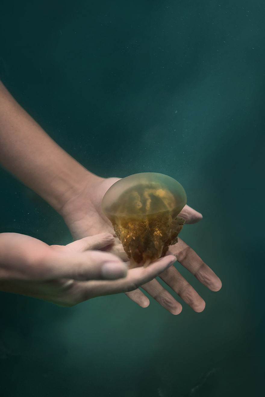 Swimming With Jellyfish In Indonesia's Rare Marine Lakes Swimming With Jellyfish In Indonesia's Rare Marine Lakes