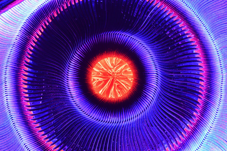 I Make Circles Out Of Cutlery And LED Lighting To Produce These 36 Spectacular Images I Make Circles Out Of Cutlery And LED Lighting To Produce These 36 Spectacular Images