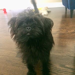 monica_felix1 avatar