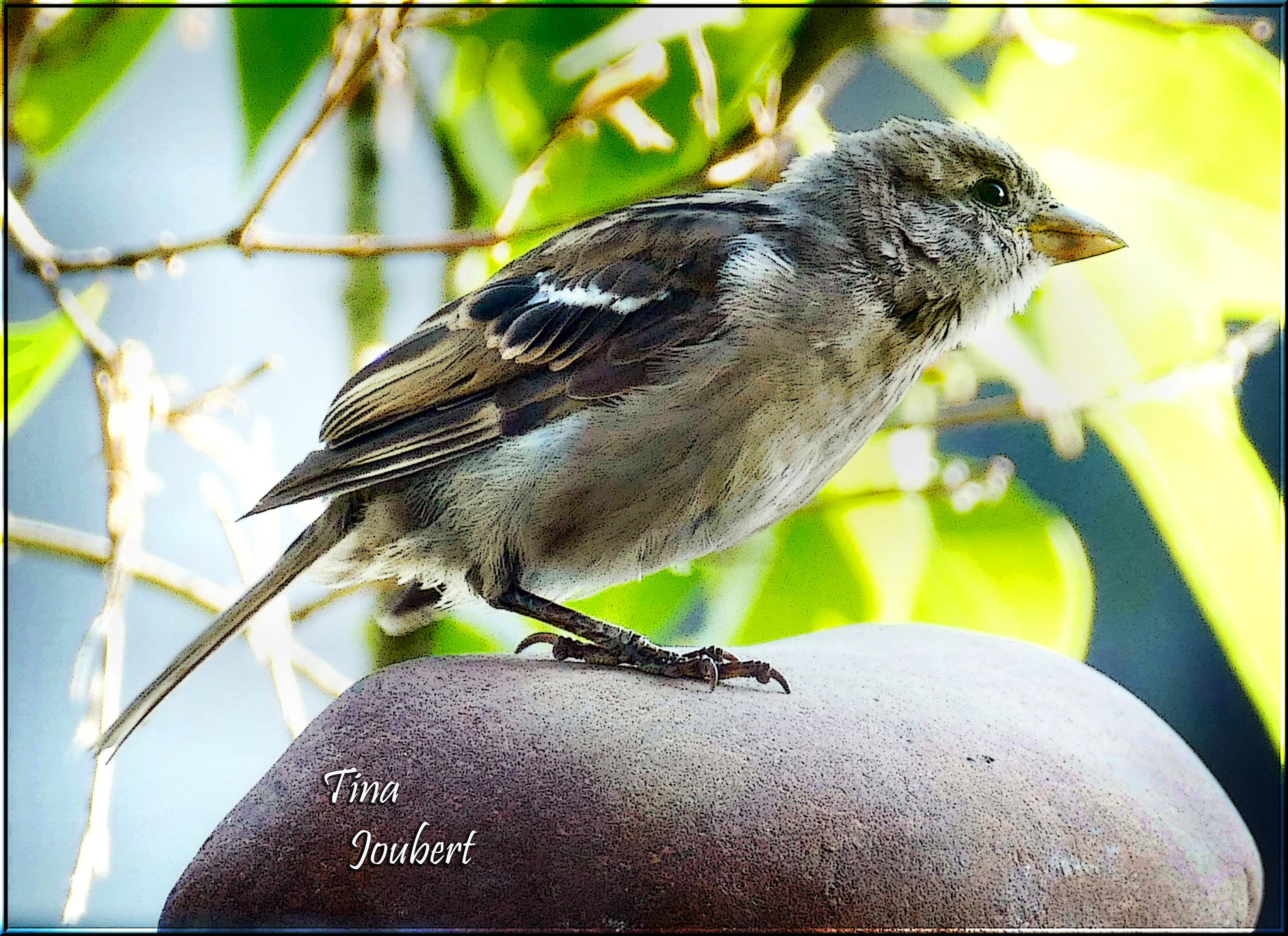 Road Trips In And Around Calgary Alberta