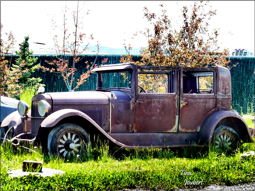 Road Trips In And Around Calgary Alberta