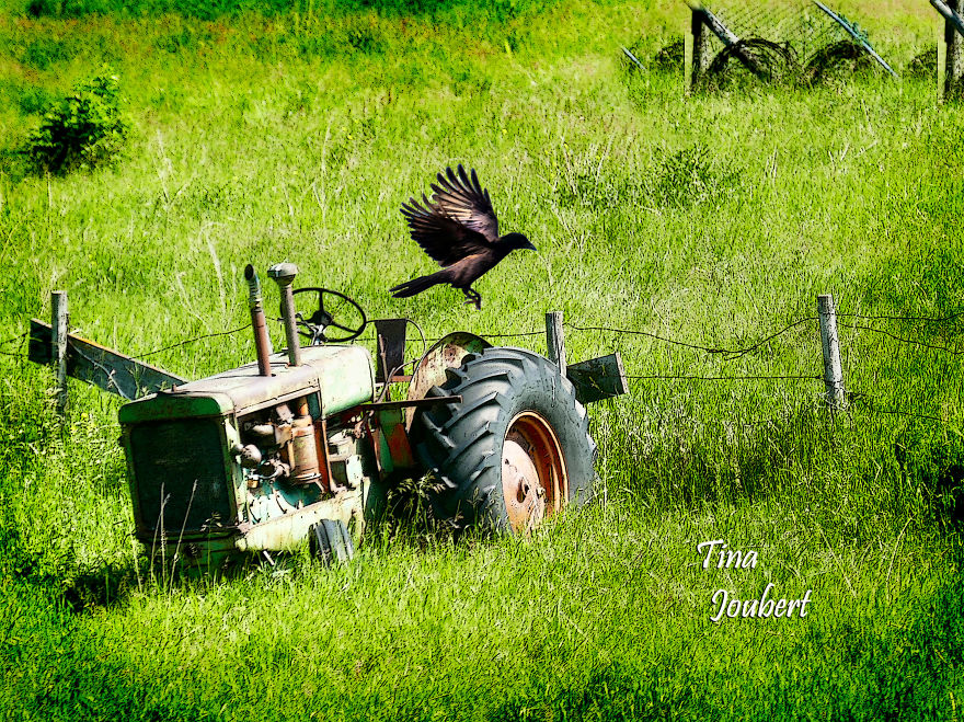 Road Trips In And Around Calgary Alberta