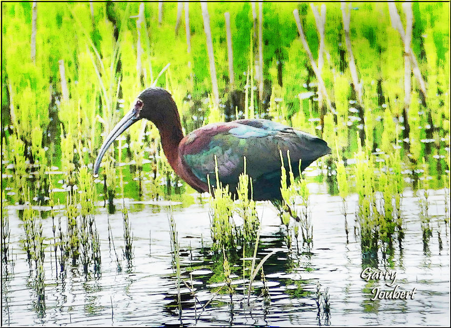 Road Trips In And Around Calgary Alberta