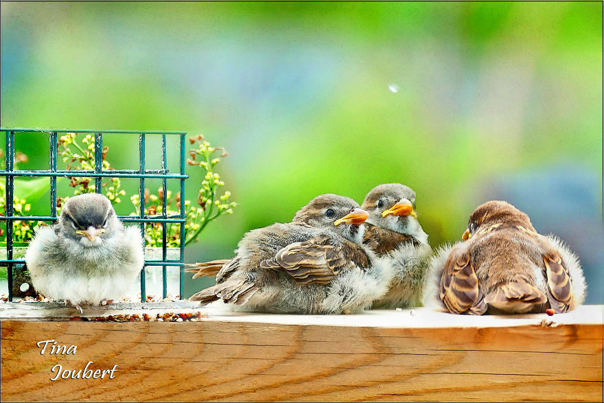 Road Trips In And Around Calgary Alberta