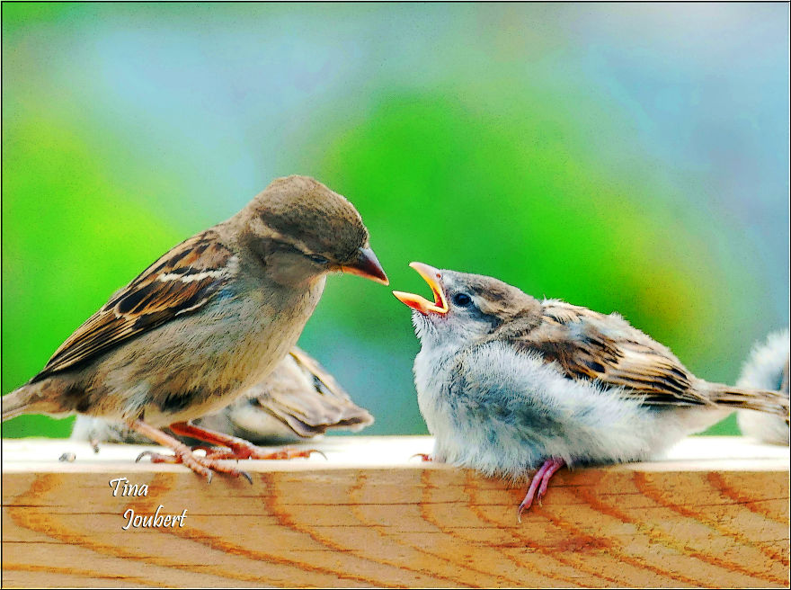 Road Trips In And Around Calgary Alberta