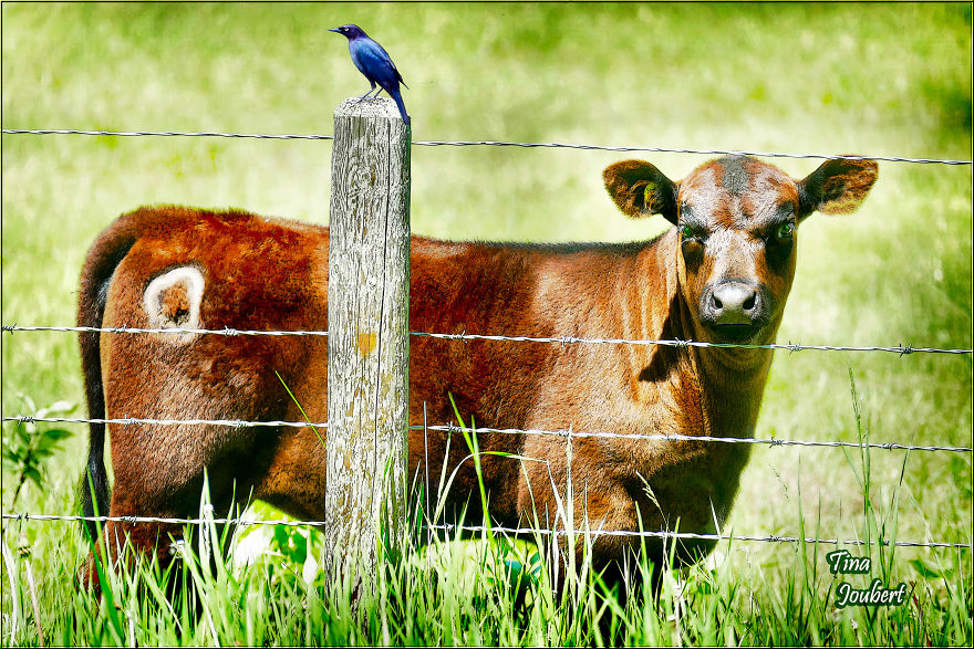 Road Trips In And Around Calgary Alberta