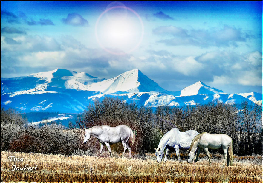 Road Trips In And Around Calgary Alberta