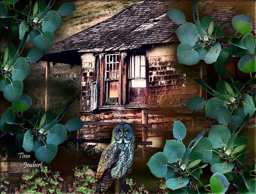 Road Trips In And Around Calgary Alberta