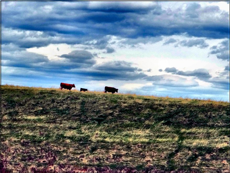 Road Trips In And Around Calgary Alberta