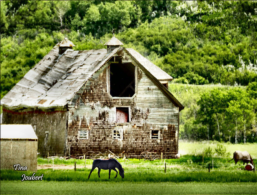 Road Trips In And Around Calgary Alberta