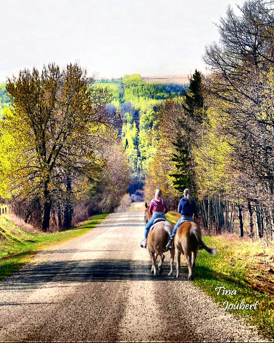 Road Trips In And Around Calgary Alberta