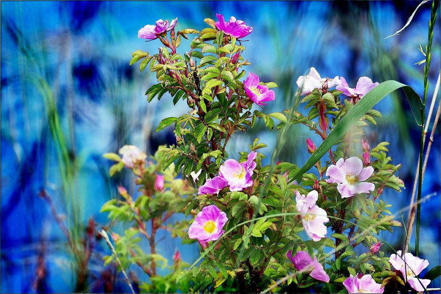 Road Trips In And Around Calgary Alberta