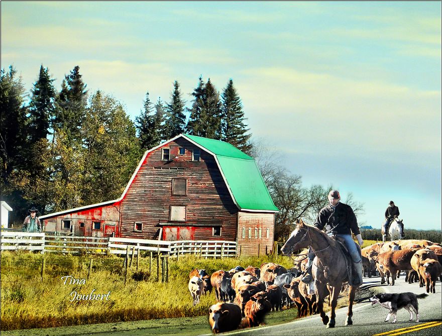 Road Trips In And Around Calgary Alberta