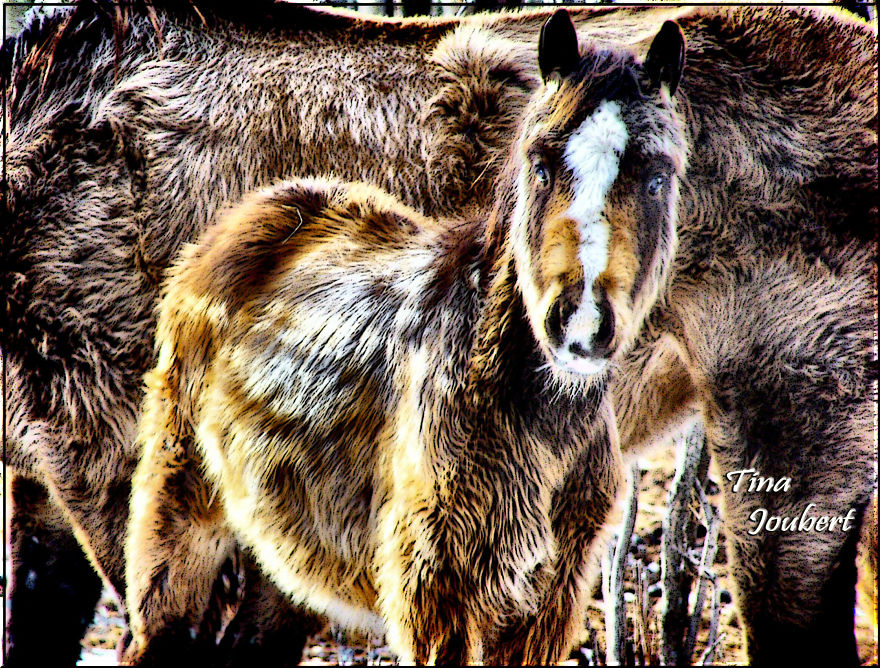 Road Trips In And Around Calgary Alberta