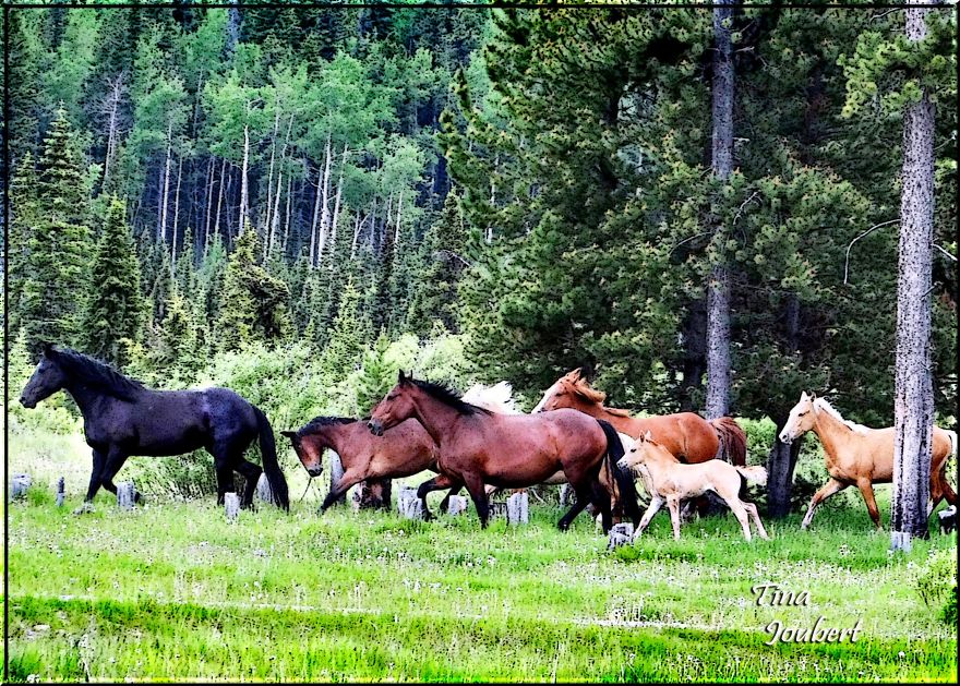 Road Trips In And Around Calgary Alberta