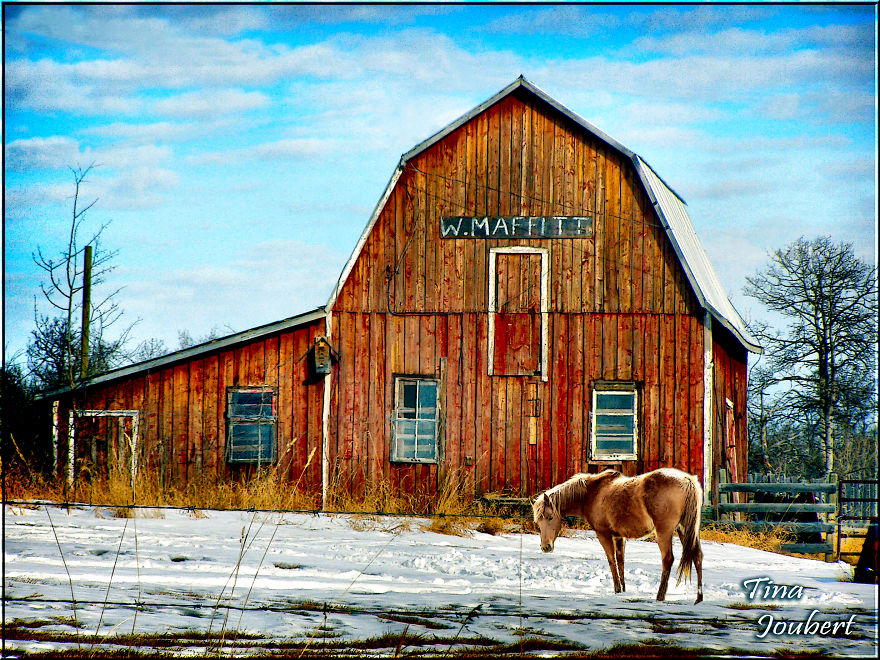 Road Trips In And Around Calgary Alberta