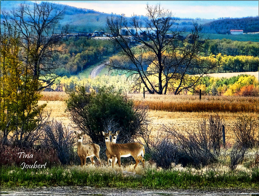 Road Trips In And Around Calgary Alberta
