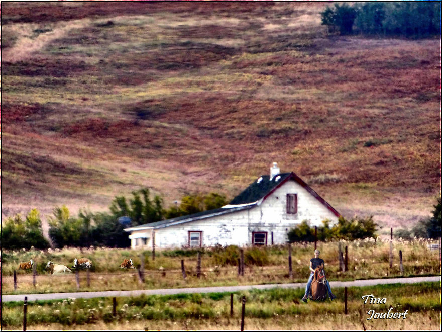 Road Trips In And Around Calgary Alberta