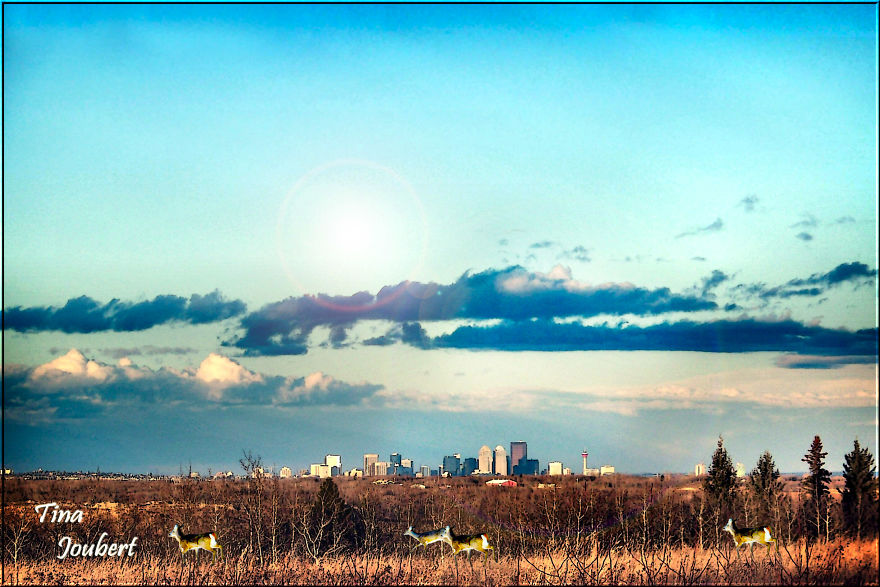 Road Trips In And Around Calgary Alberta