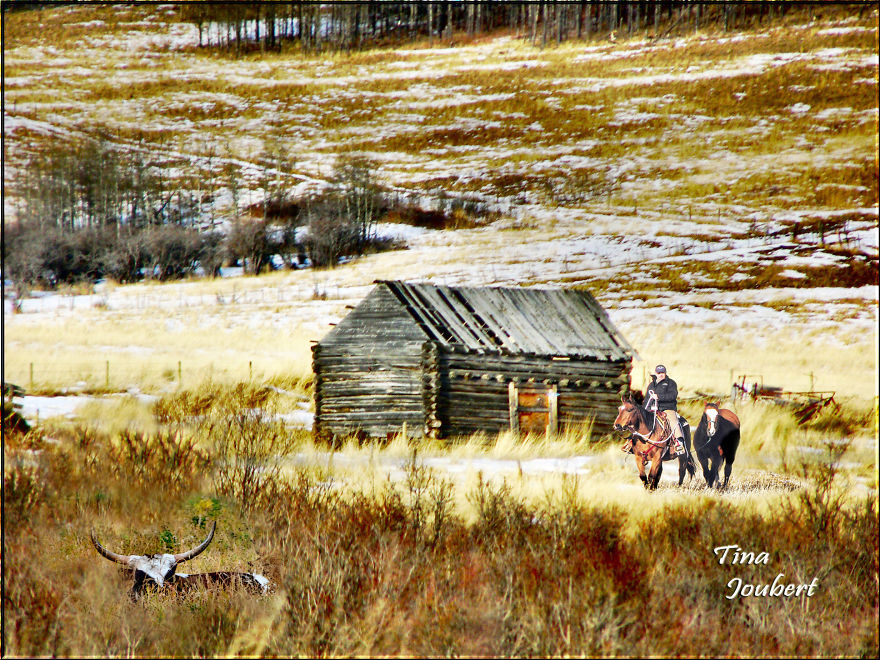 Road Trips In And Around Calgary Alberta