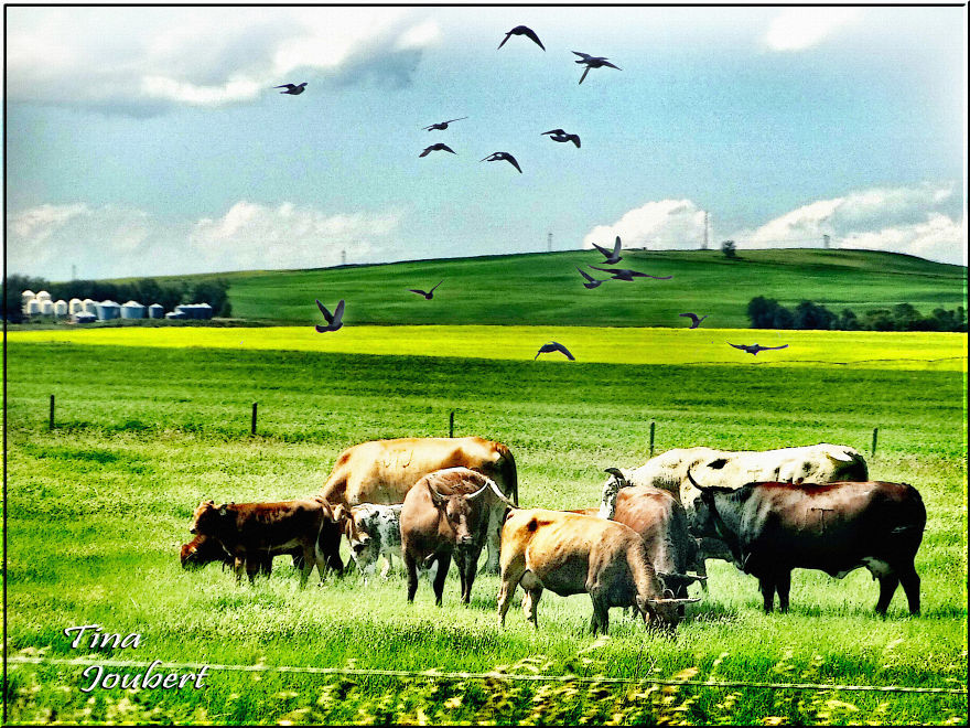 Road Trips In And Around Calgary Alberta