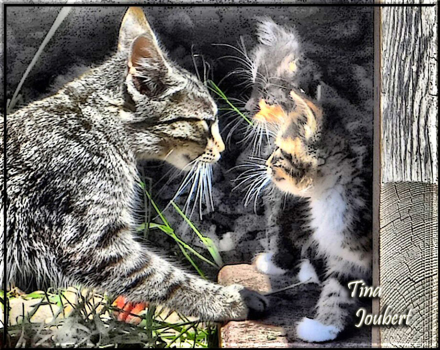 Road Trips In And Around Calgary Alberta