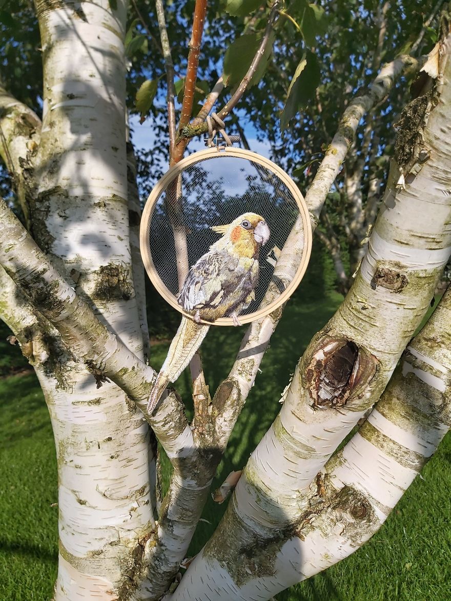 Real Birb Or Art? Real Birb Or Art?