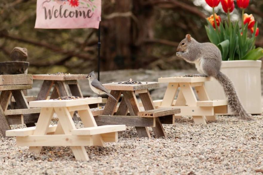 Rosie's Cafe' Rosie's Cafe'