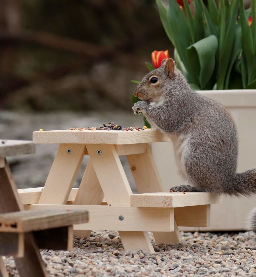 Rosie's Cafe' Rosie's Cafe'