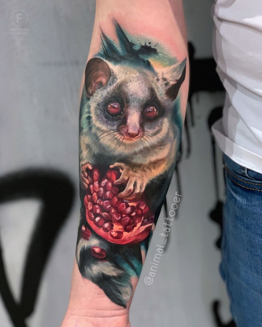 Colorful animal tattoo of a possum holding a pomegranate on a person's forearm.