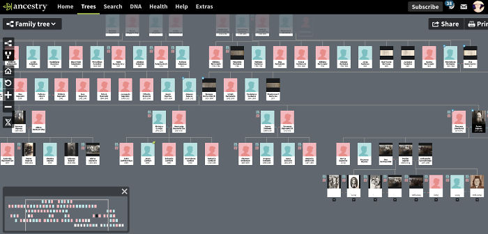 Genealogy - It Combines My Passion For Research And Organisation. Currently Have My Family Tracked Back To 17th Century, With Their Original Birth Certificates And All