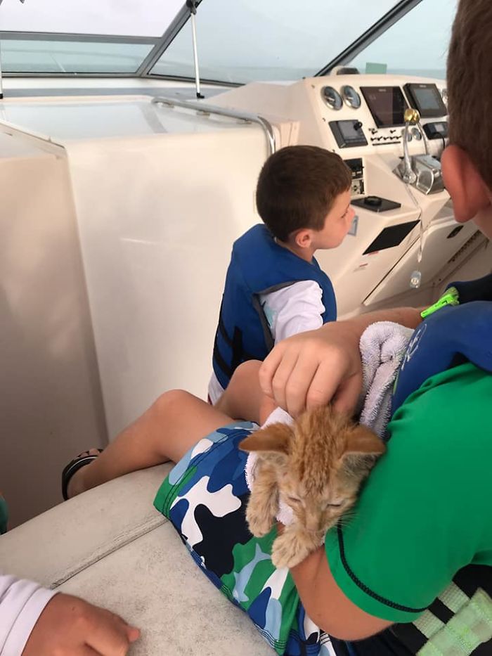 Kitten That Was Struggling To Stay Afloat In The Gulf Of Mexico Gets Spotted By A Fishing Boat That Saves Its Life Kitten That Was Struggling To Stay Afloat In The Gulf Of Mexico Gets Spotted By A Fishing Boat That Saves Its Life